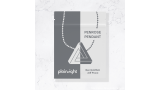 Penrose Pendant by Jeff Prace