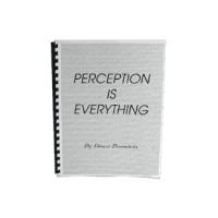 Perception Is Everything by Bruce Bernstein