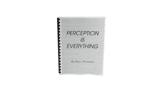 Perception Is Everything by Bruce Bernstein