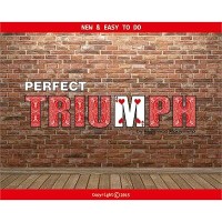 Perfect Triumph by Federico Poeymiro