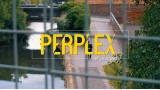 Perplex by Criss Smith