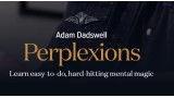 Perplexions by Adam Dadswell