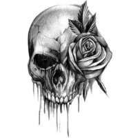 Phantom by Ben Allen