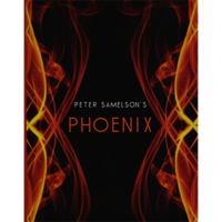 Phoenix by Petert Samelson