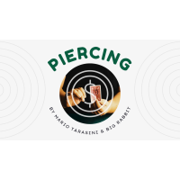 Piercing By Mario Tarasini & BIG RABBIT