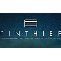 Pin Thief by Jamie Daws