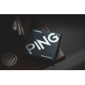 Ping by Tobias Dostal Ping by Tobias Dostal