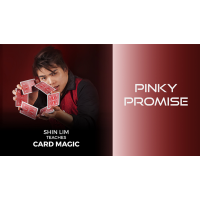 Pinky Promise (1-2) by Shin Lim