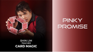 Pinky Promise (1-2) by Shin Lim