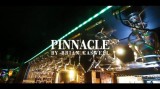 Pinnacle by Brian Caswell