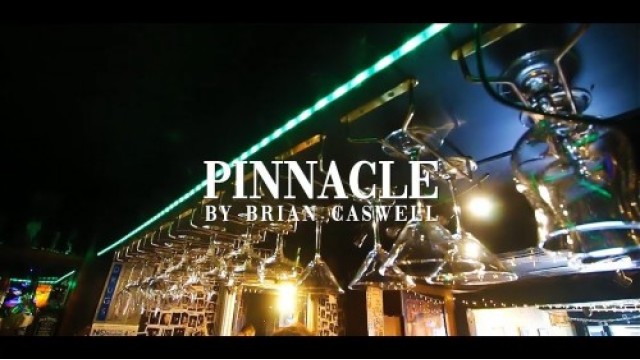 Pinnacle by Brian Caswell