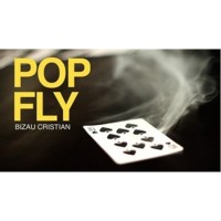 Pop Fly by Bizau Cristian