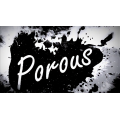Porous by Seth Race Porous by Seth Race