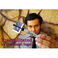Premeditated by Nathaniel Segal