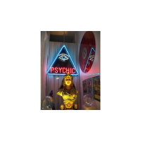 Private Medium & Fortune Tellers Secret Psychic Cold Reading Notebooks by Nathan Demdyke