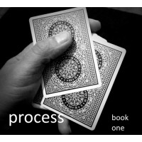 Process: Book One by Doc Docherty