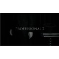 Professional 2 by Kim Hyun Soo Professional 2 by Kim Hyun Soo
