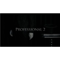 Professional 2 by Kim Hyun Soo