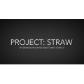 Project Straw by Brandon David & Chris Turchi Project Straw by Brandon David & Chris Turchi