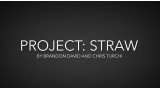 Project Straw by Brandon David & Chris Turchi