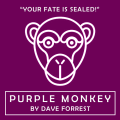 Purple Monkey by Dave Forrest Purple Monkey by Dave Forrest