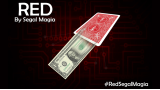 Red by Segal Magia