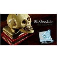 Reflections by Bill Goodwin