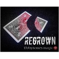 Regrown by Ebby Tones Regrown by Ebby Tones