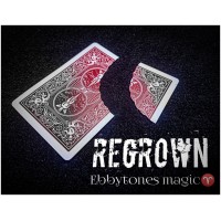 Regrown by Ebby Tones