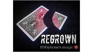 Regrown by Ebby Tones