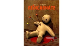 Reincarnate Book Test by Paul Brignall