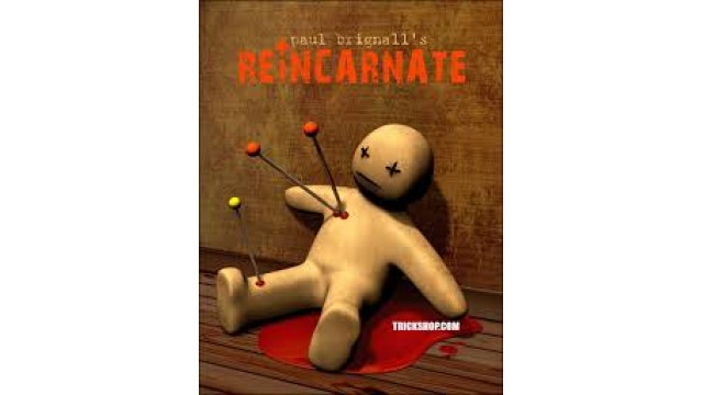 Reincarnate Book Test by Paul Brignall