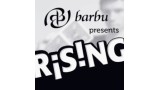 Rising by Barbu Nitelea