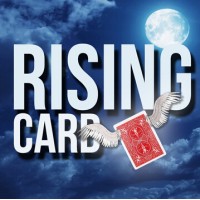 Rising Card by Daryl