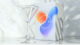 Rosen Roy Martini Glass (Video+Pdf) by Rosen Roy