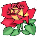 Roses For Her by Nubzmagic Roses For Her by Nubzmagic