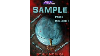 Sample by Ali Nouira