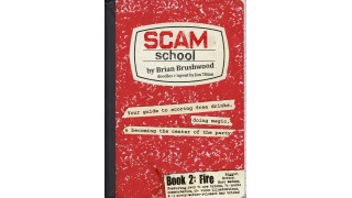 Scam School Book 2 Fire by Brian Brushood