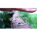 Scarecoin by Arnel Creations Scarecoin by Arnel Creations