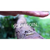 Scarecoin by Arnel Creations