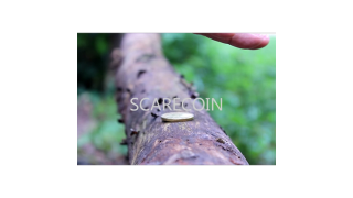 Scarecoin by Arnel Renegado