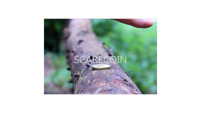 Scarecoin by Arnel Renegado