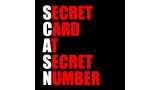Scasn by Chris Westfall Scasn by Chris Westfall