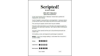 Scripted #38: Qvc Detective by Larry Brodahl