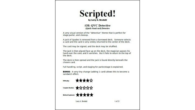 Scripted #38: Qvc Detective by Larry Brodahl