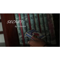 Secret by D.Galdot