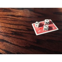 Seeing Spots by Matthew Mello