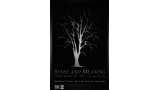 Sense And Meaning - 2012 Lecture Notes by Paralabs