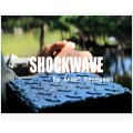 Shockwave by Arnel Renegado Shockwave by Arnel Renegado