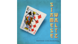 Siamese Waltz by Bennie Chickering